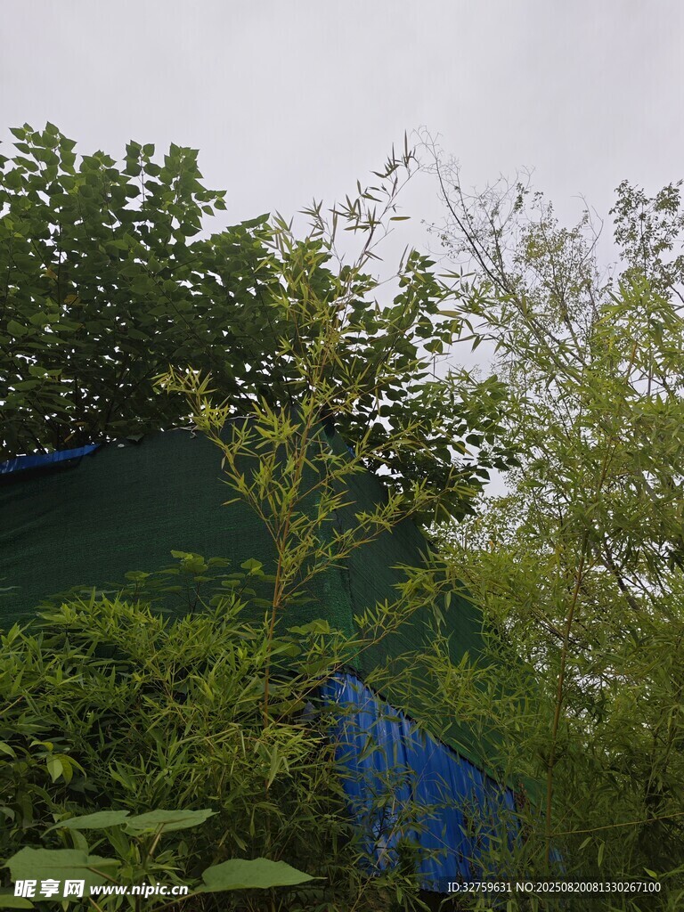 绿树掩映下的蓝色建筑