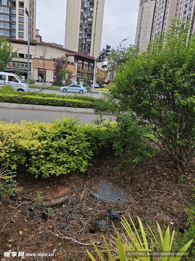 城市绿化带中的一处泥坑