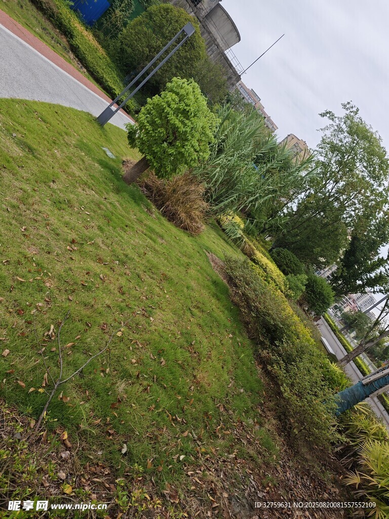 户外绿地景观