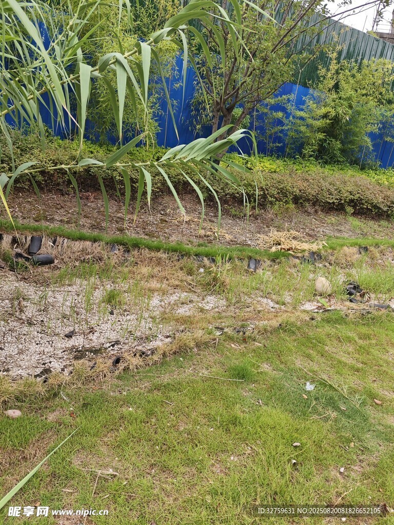 户外草地旁的泥土地场景