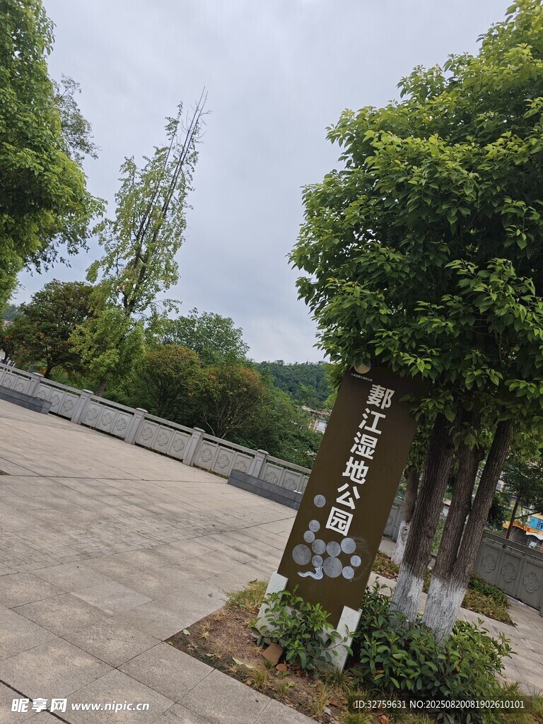 校园道路旁的树木与标识牌