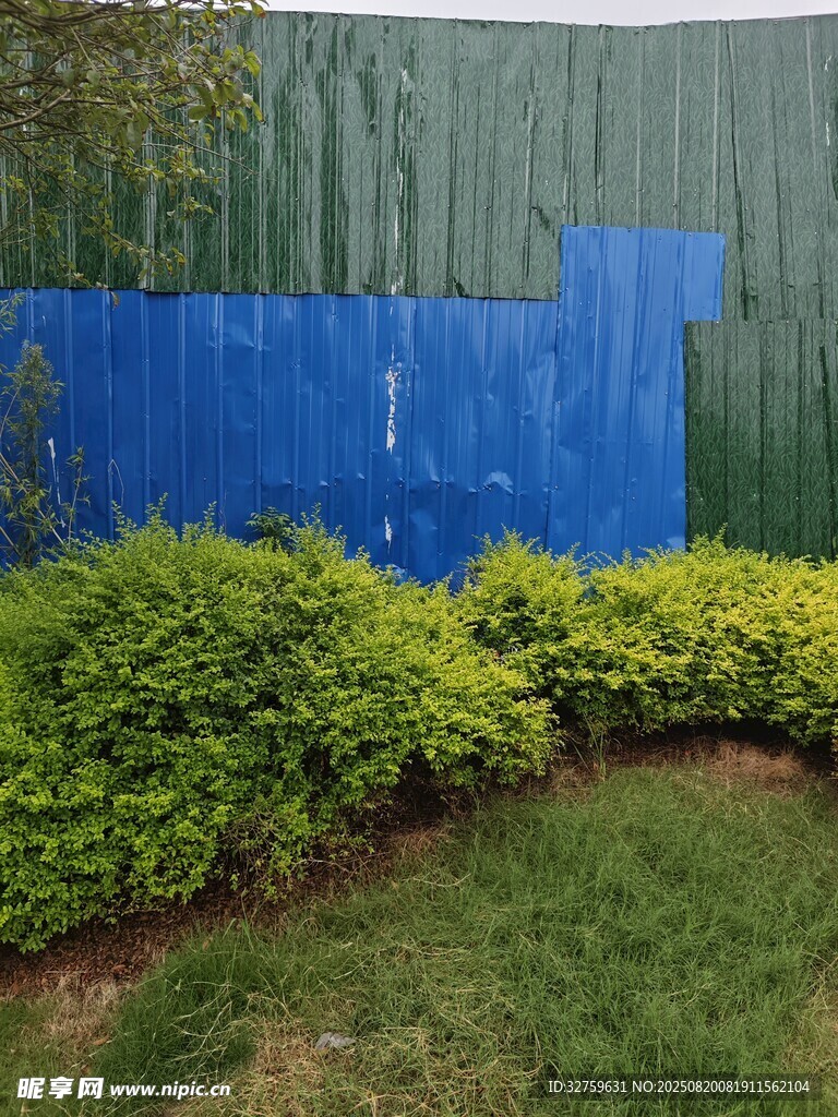 蓝墙绿植的户外景致