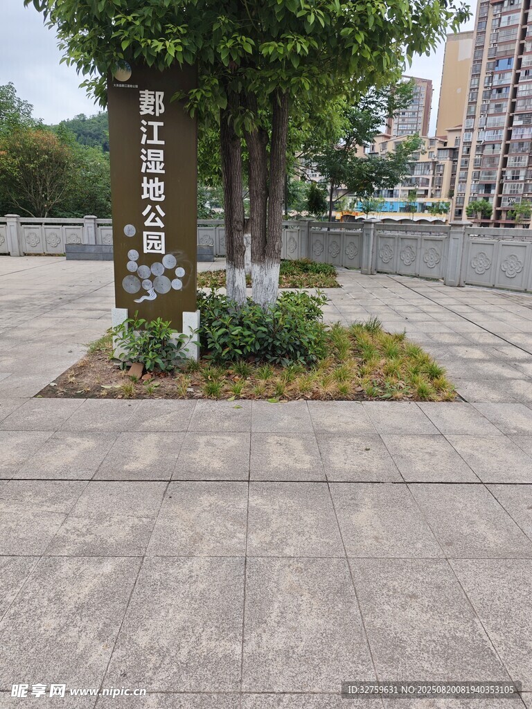 城市街角绿植景观