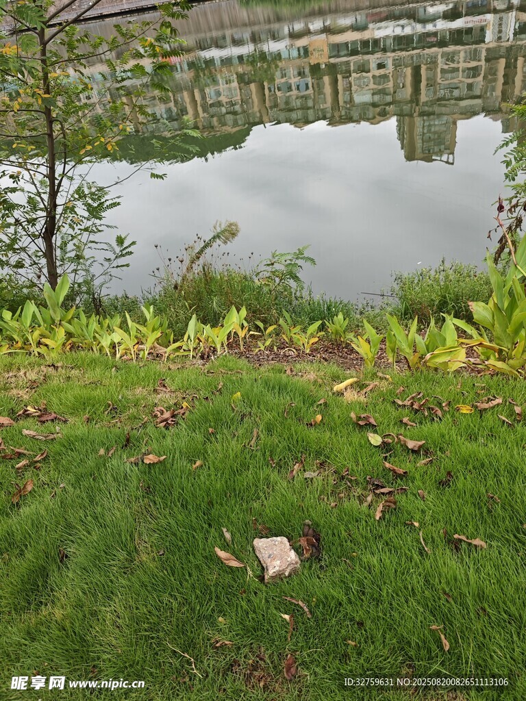 湖畔草地景致