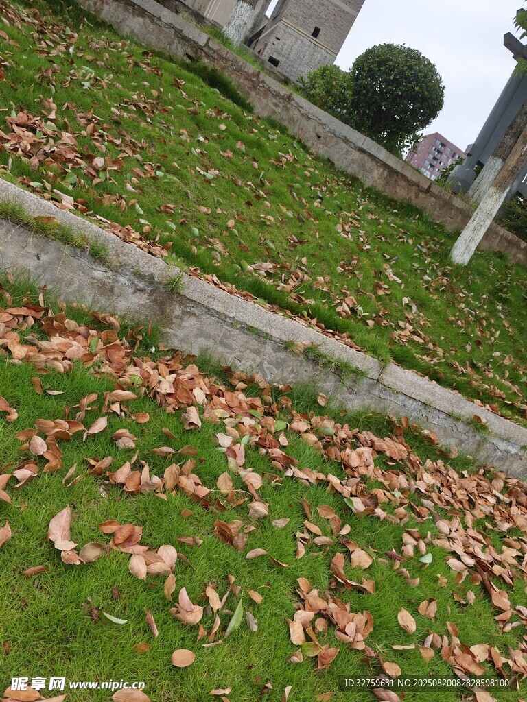 秋日草地落叶与石阶
