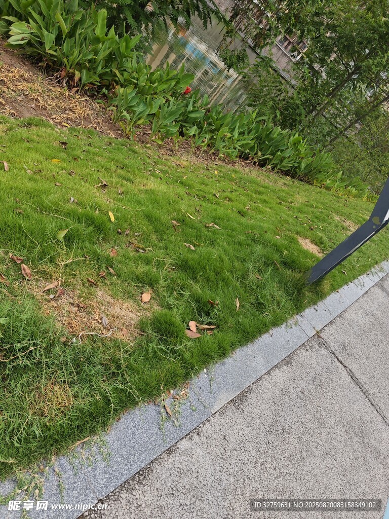 路边草地景观