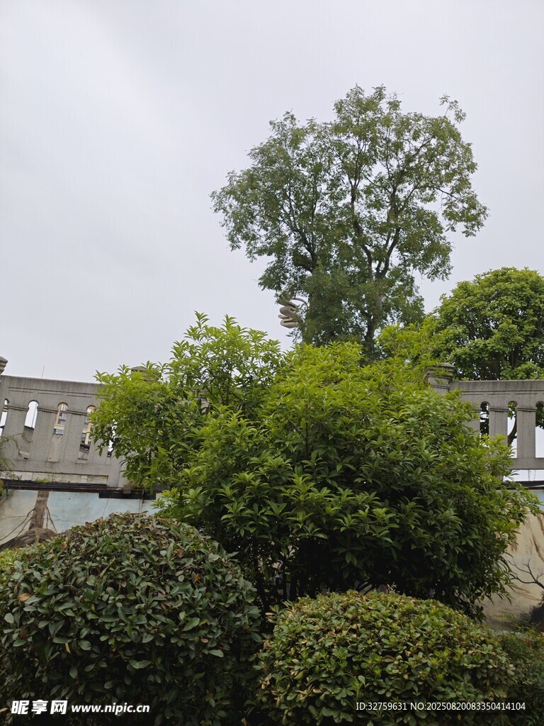 园林绿植与古朴围墙景观