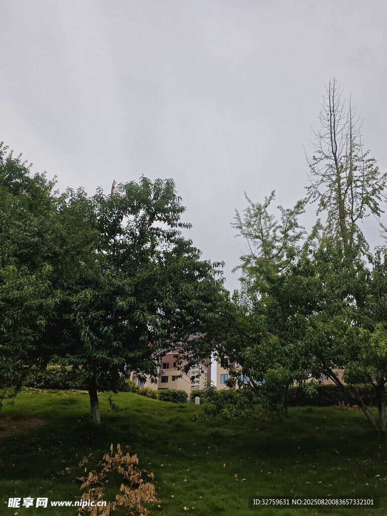 乡村绿意盎然的宁静景致