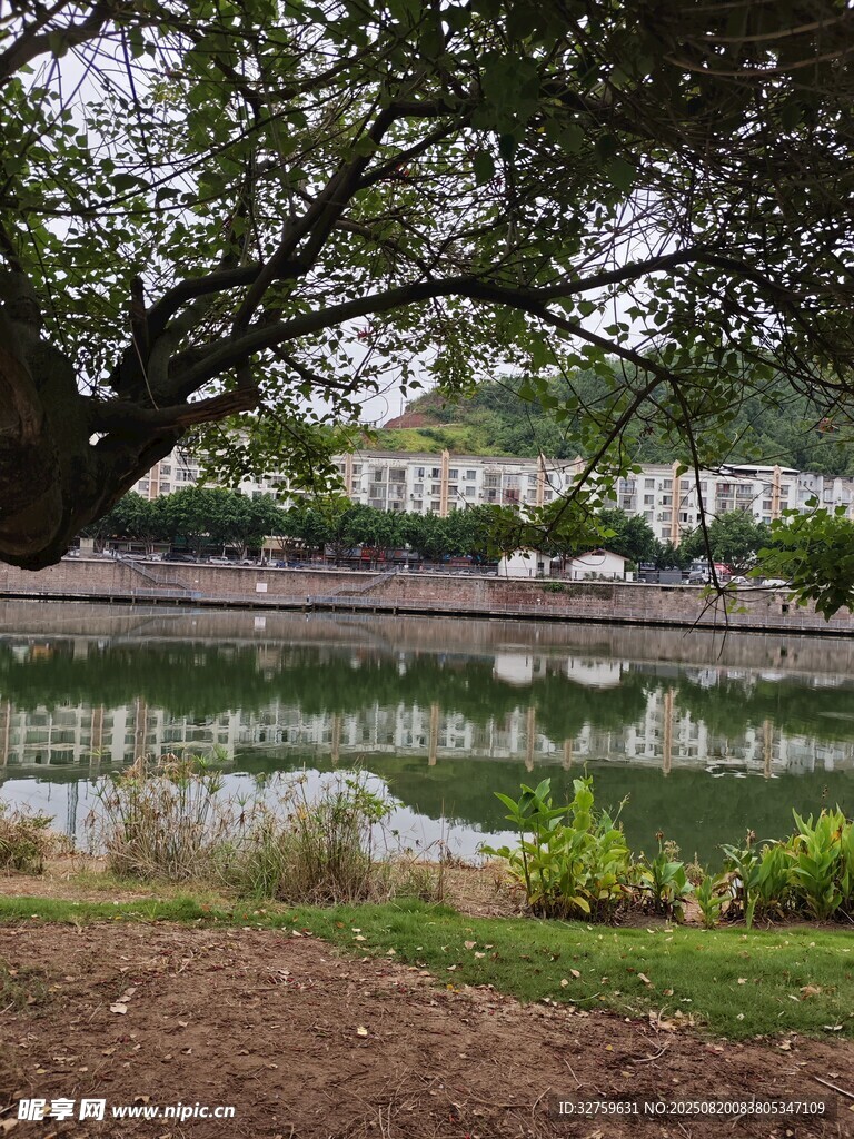 湖畔绿树环绕的静谧景致