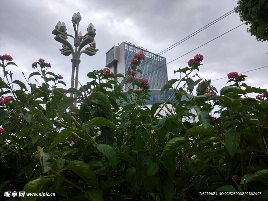 花丛中的户外设备