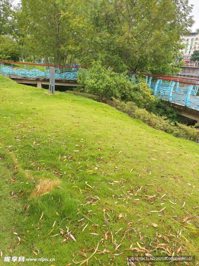 绿意盎然的户外草地景观