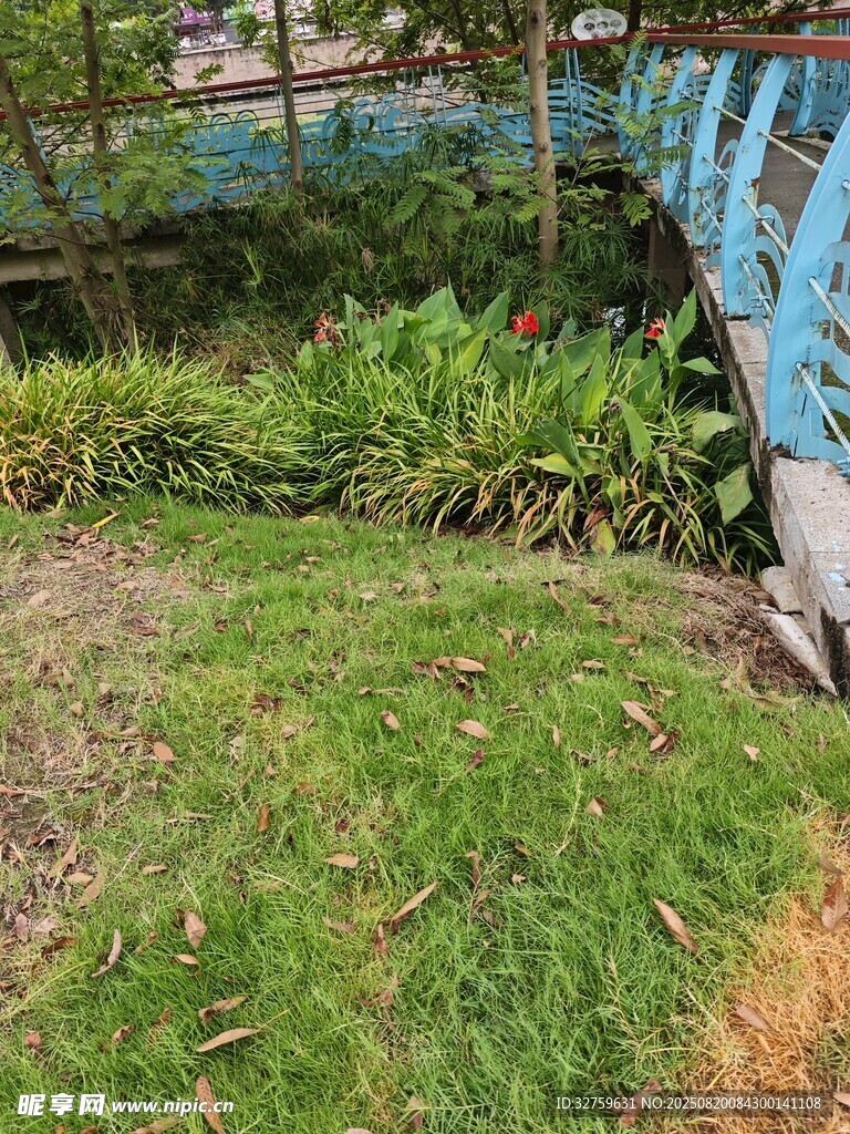 户外绿植景观一角
