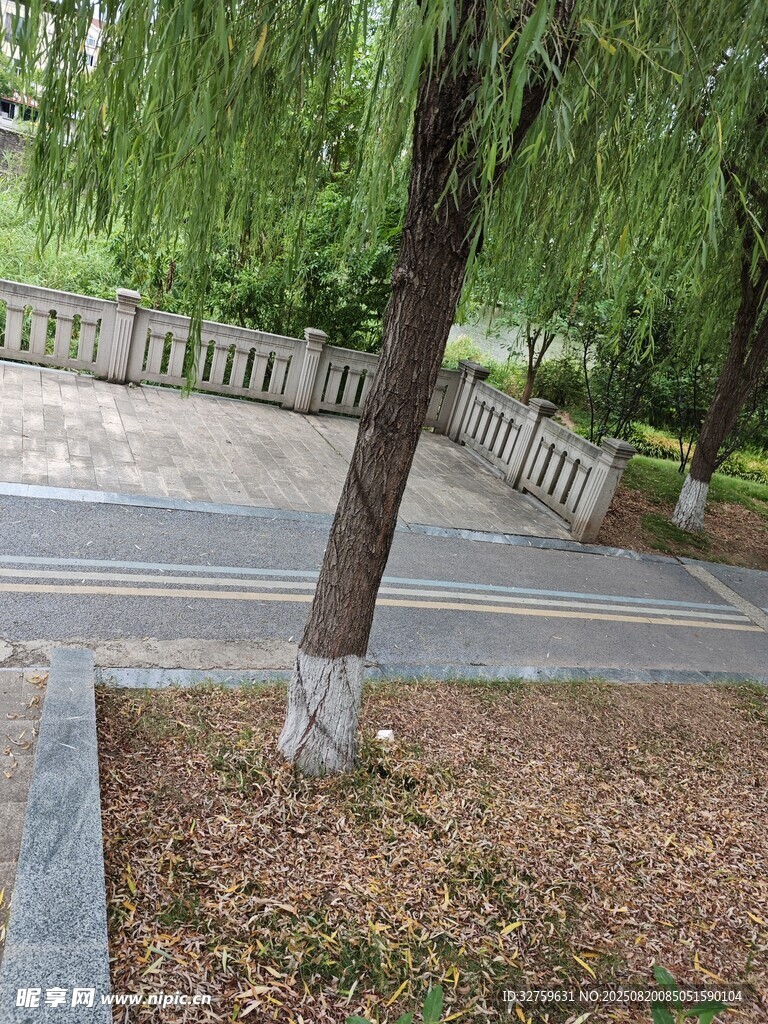 公园垂柳下的幽静小道
