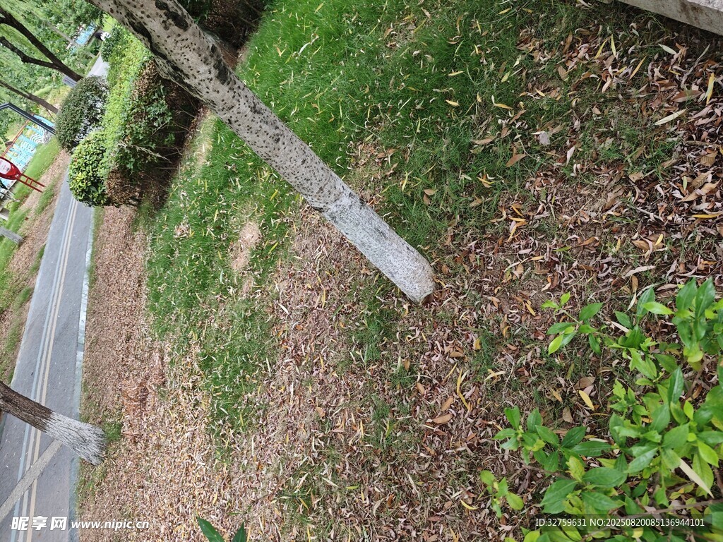 路边草地中的金属标识牌