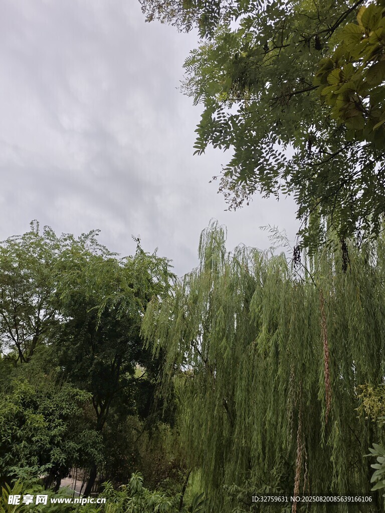 园林绿树成荫景致宜人