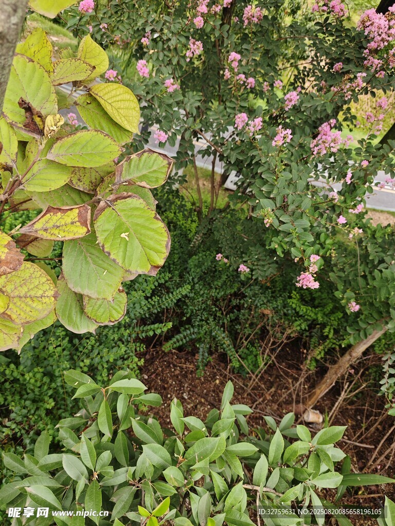 多彩花卉绿植景观