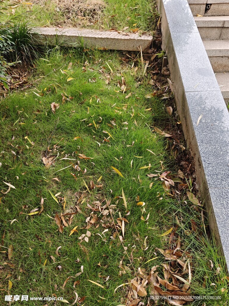 户外木质围栏旁的草地