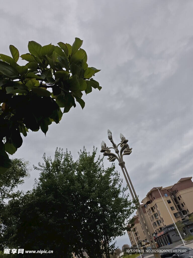 户外绿树与通信基站景观