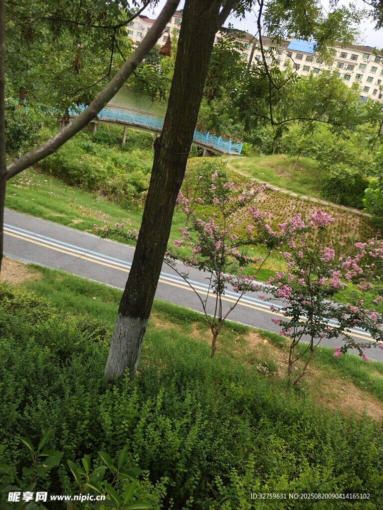 路边绿植与繁花景观