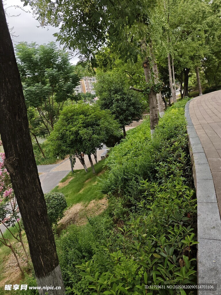 城市街边绿意盎然的景致