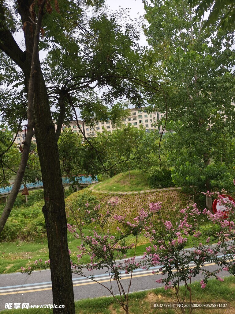 公园绿意盎然的美丽景致
