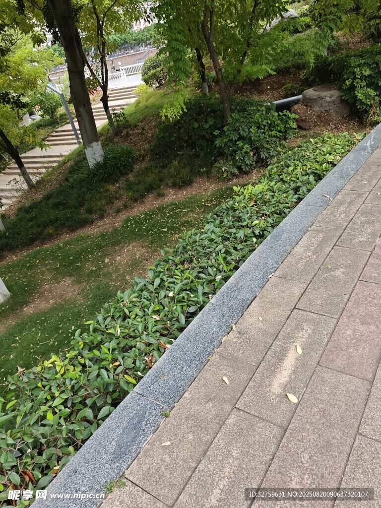 路边绿植与砖石步道景观