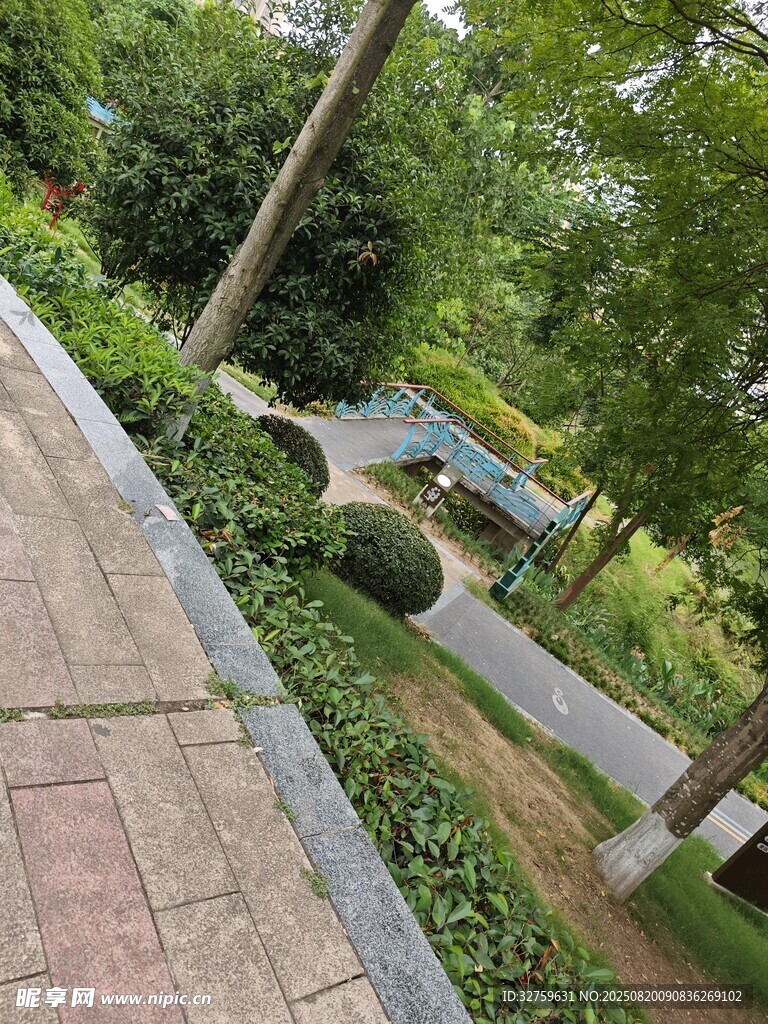 园林小径景观