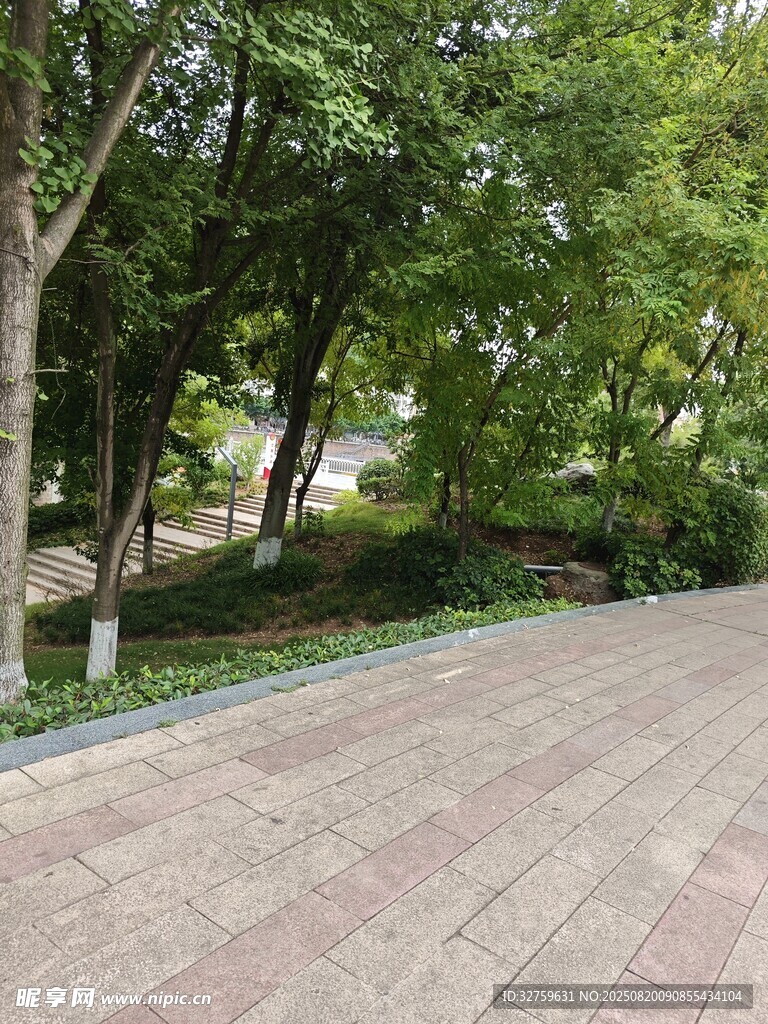 林间砖铺小径 