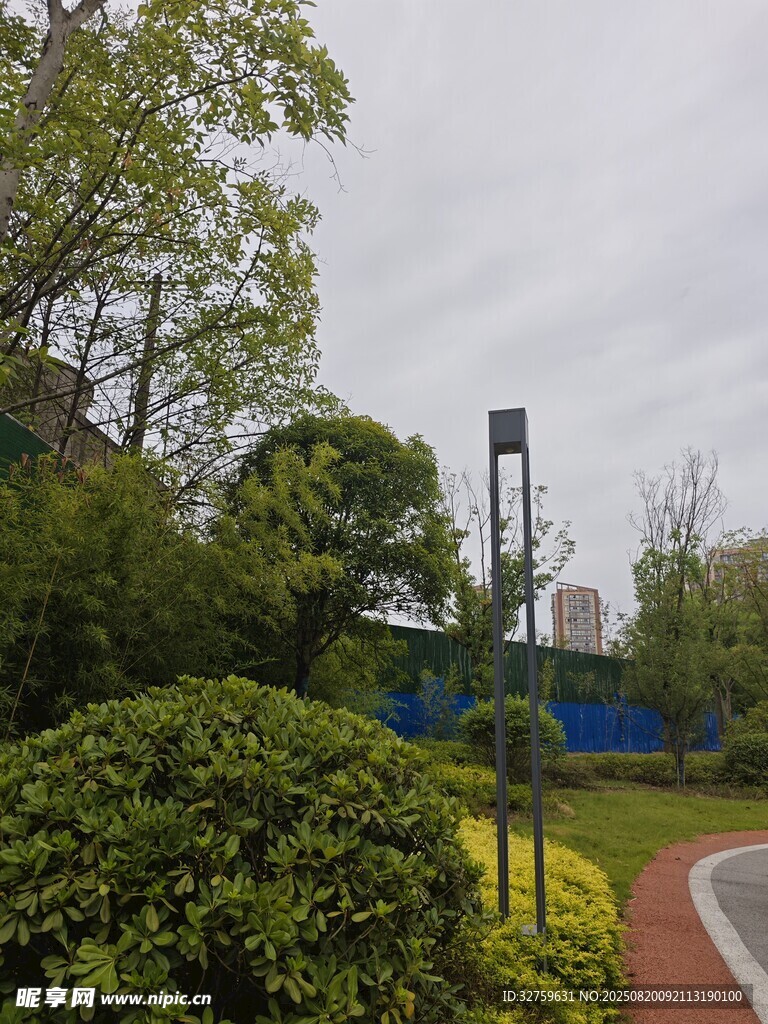 城市公园中的绿植与步道