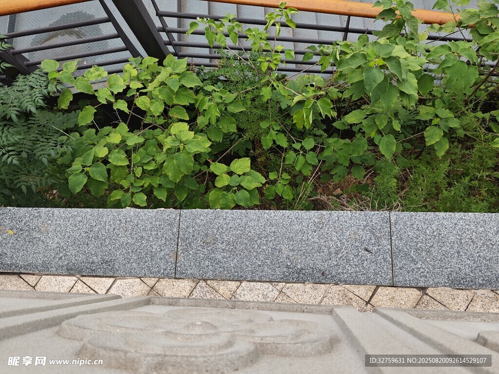 路边绿植景观