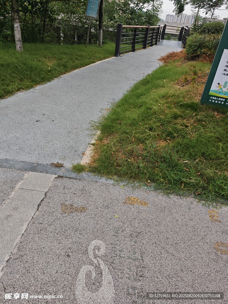 公园中的步道与绿植景观