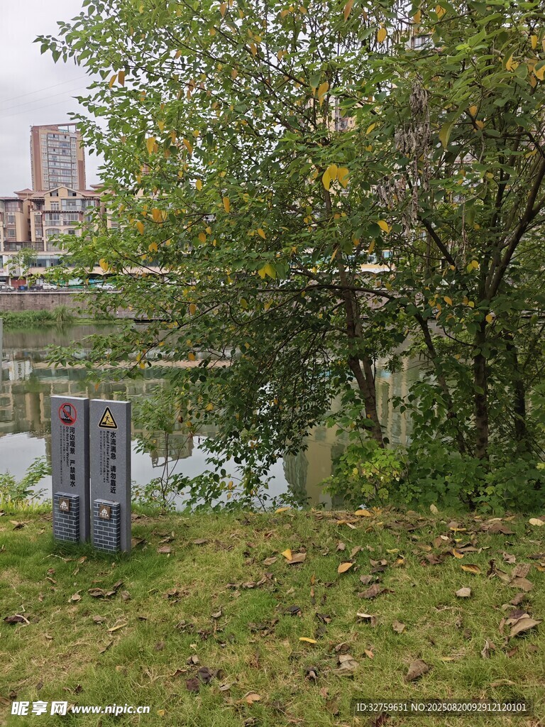 湖畔绿植与城市景观一角