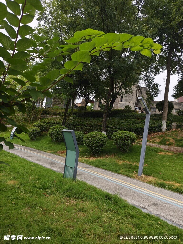 公园中的绿意小径