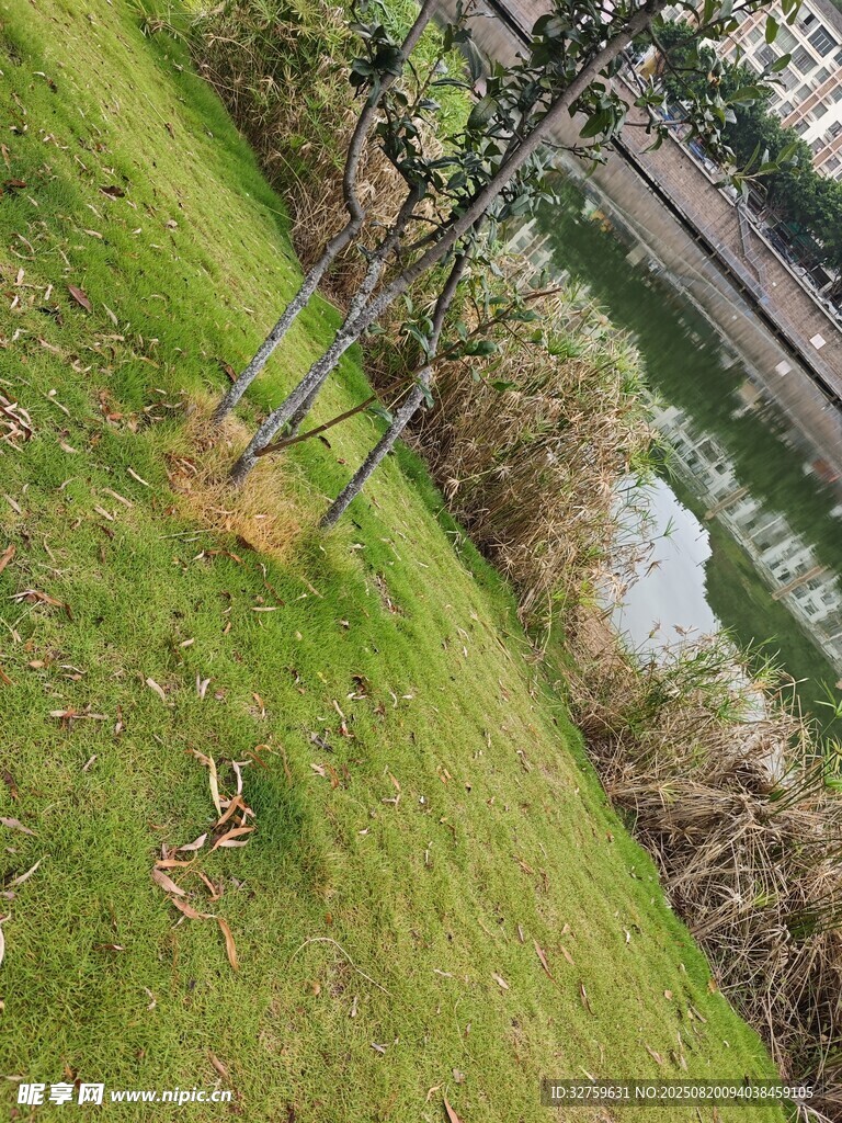 户外草地旁的电线杆景观