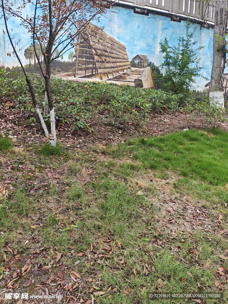 户外草地旁的树木与建筑