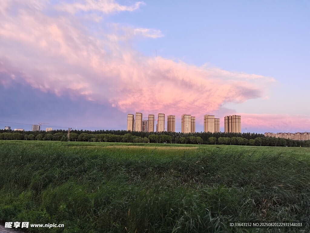 城郊暮色下的草地与建筑群