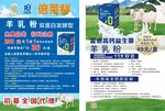 羊乳粉牛奶促销宣传页展示