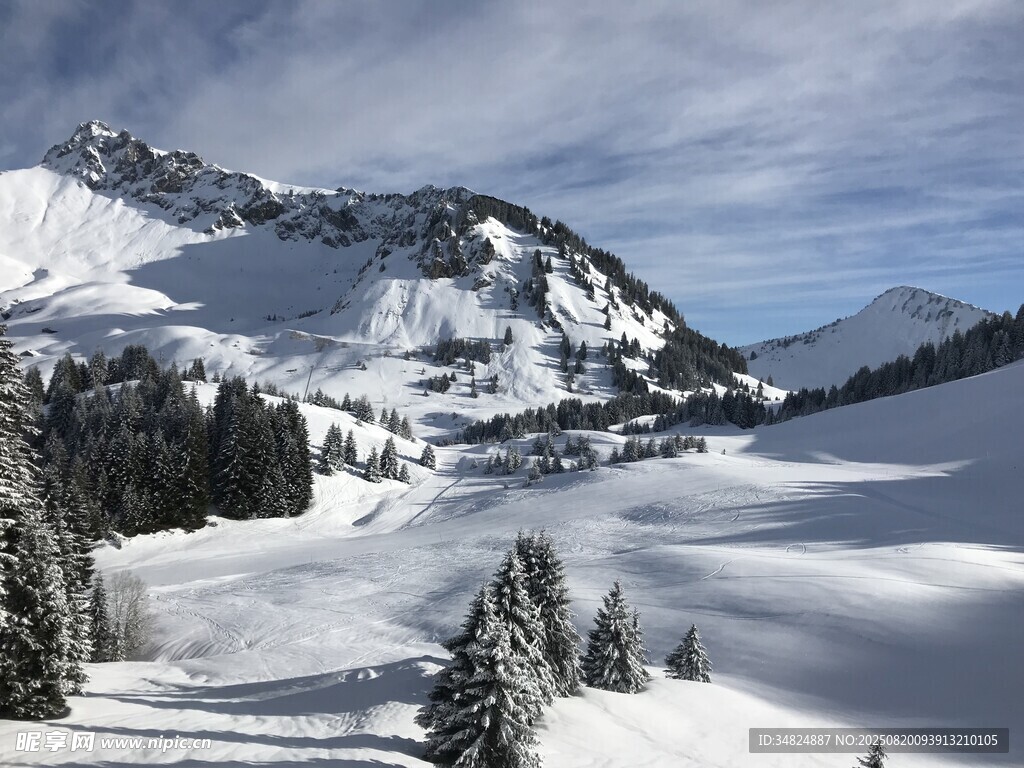 冬日雪山松林美景