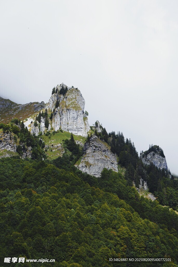 山峦绿意中的灰白建筑