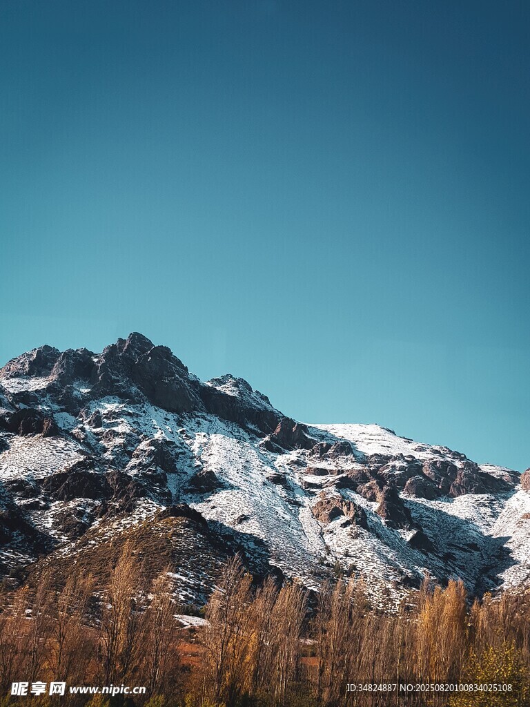 雪山下的秋日山林风光
