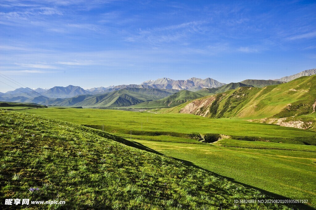 广袤绿野与远处山峦美景