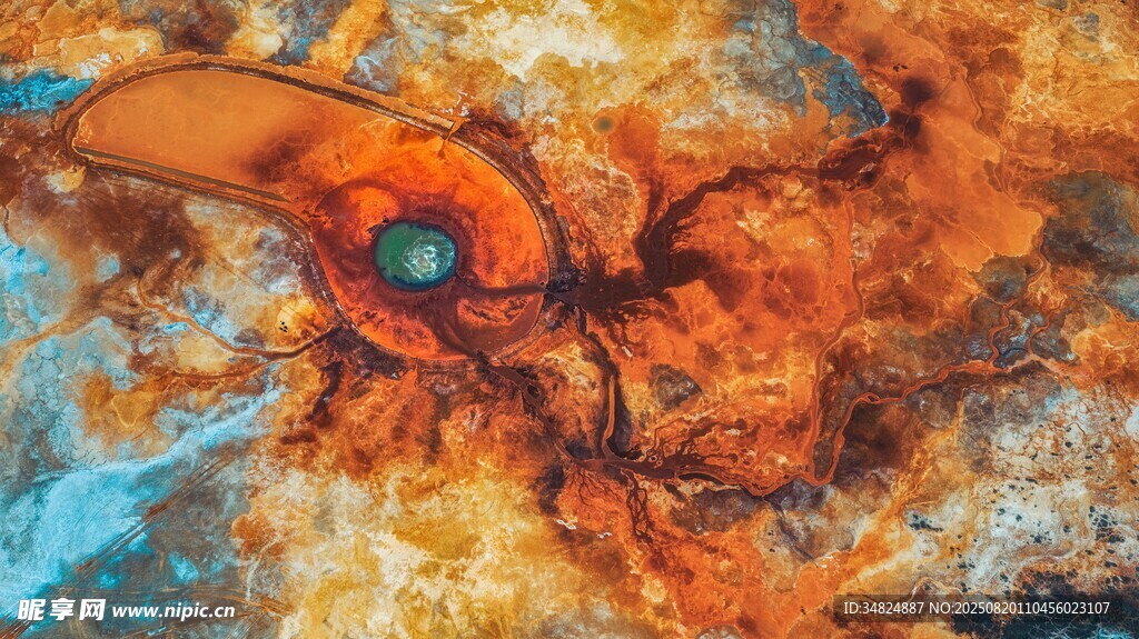 奇幻机械生物艺术图像