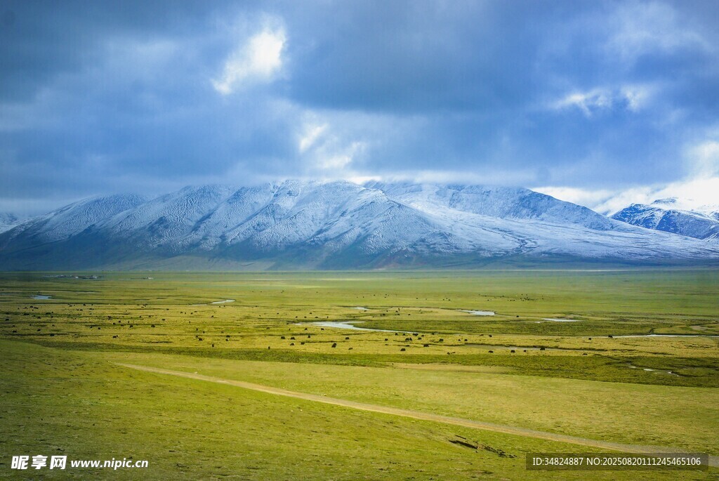 草原雪山美景