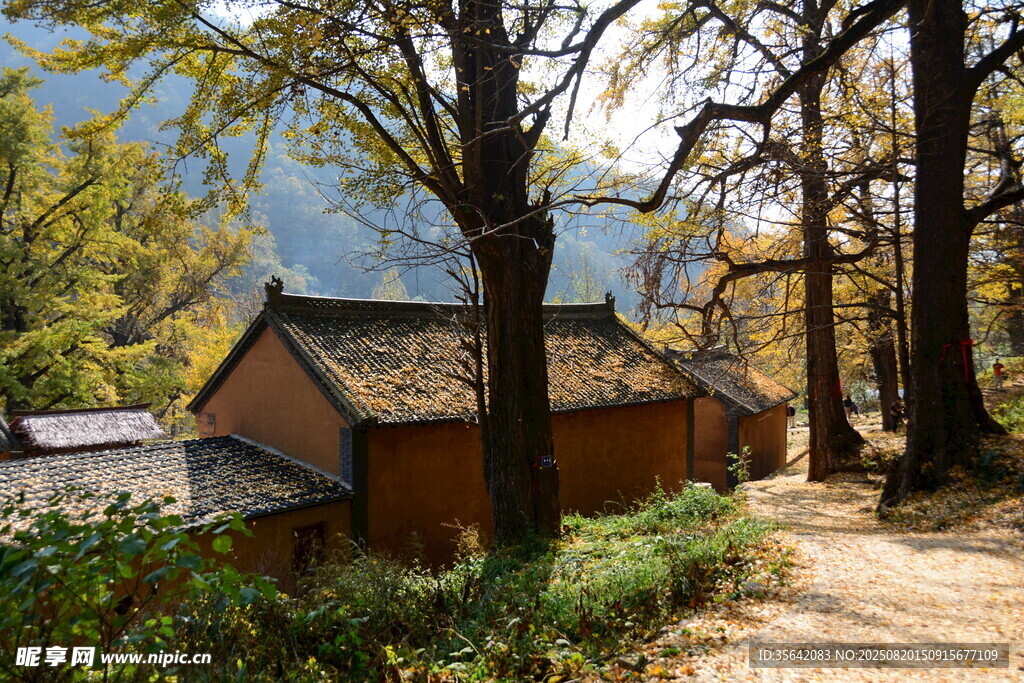 山林中的古朴小屋
