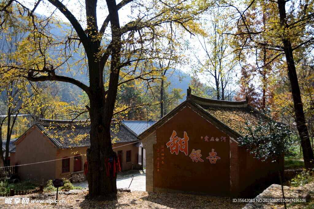 山间秋景中的古朴小屋