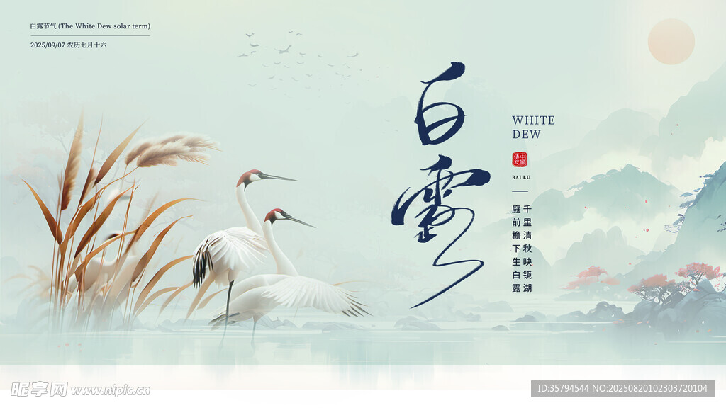 白露时节 芦苇与飞鸟图景