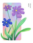 鸢尾花