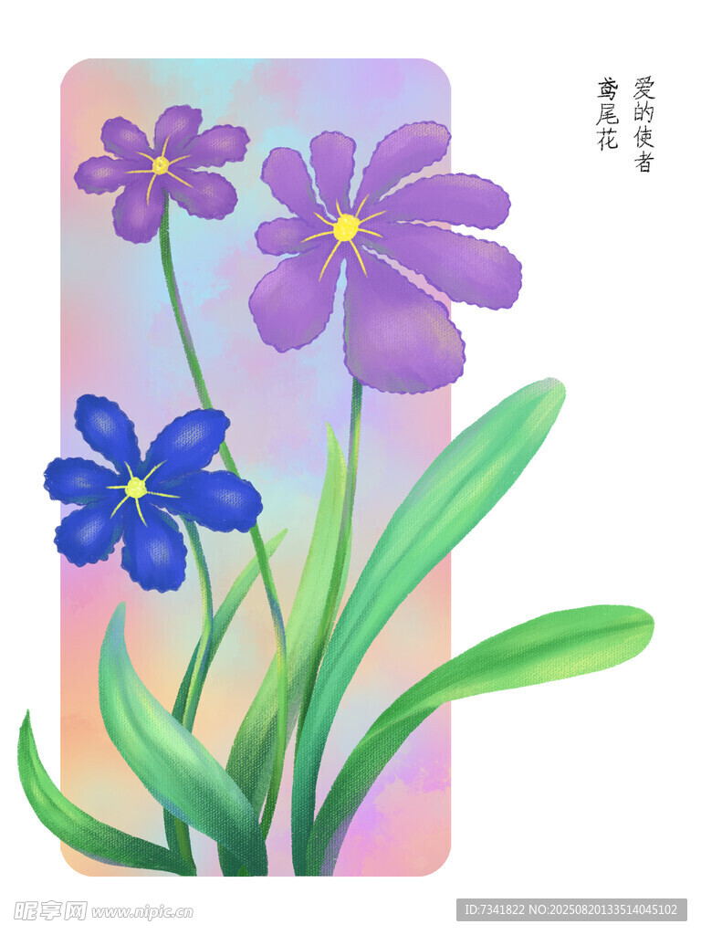鸢尾花