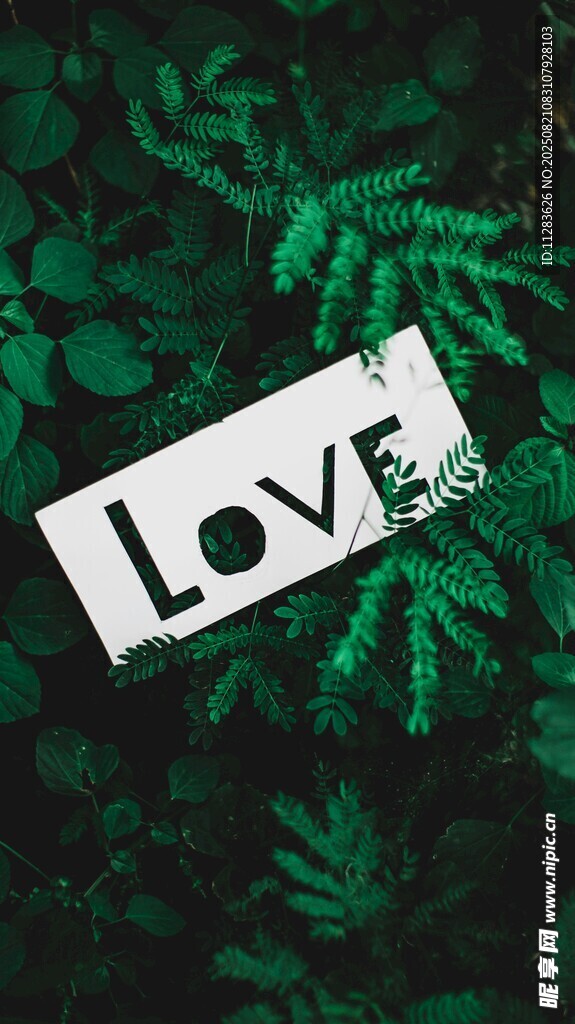 绿叶间的Love标识