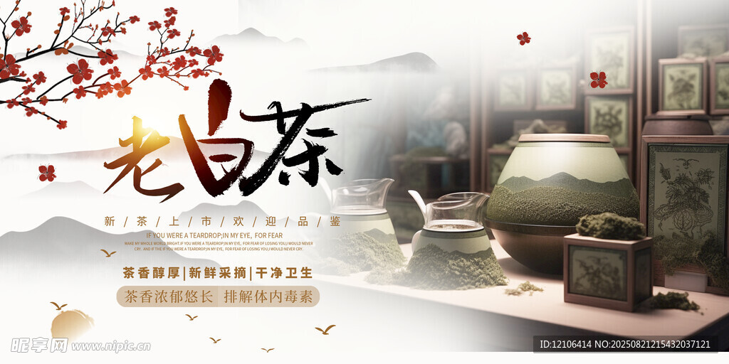 老白茶